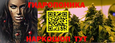 шишки Гатчина