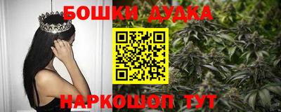 шишки Гатчина
