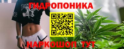 шишки Гатчина