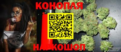 соль ск Гагарин